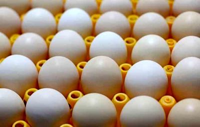 قیمت تخم‌مرغ در ماه مبارک رمضان افزایش نمی‌یابد