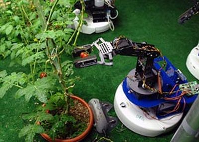 دانشجویان مازندران ربات کشاورز می‌سازند