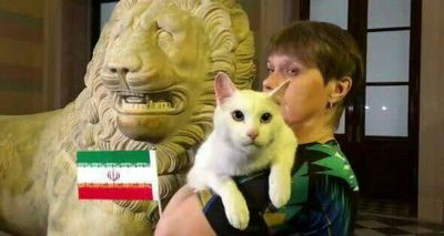 پیشگویی گربه روسی درمورد فوتبال ایران