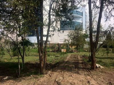 عزم طرح تفصیلی برای نابودی باغ‌های تهران