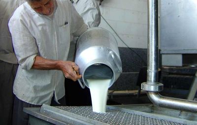 ادامه حیات صنایع لبنی در گرو منطقی شدن نرخ شیرخام است