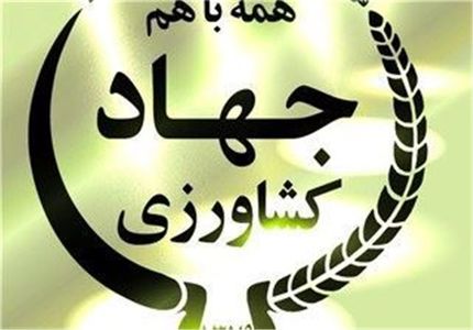 واردات نهاده‌های دام و طیور انحصاری نیست