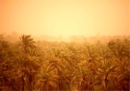 گردوغبار آسمان خوزستان را فراگرفت