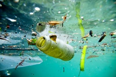 سازمان ملل برای مبارزه با پلاستیک آستین بالا زد