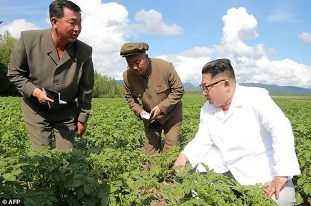 سیب زمینی برای رهبر کره شمالی مهمتر از پمپئو است!