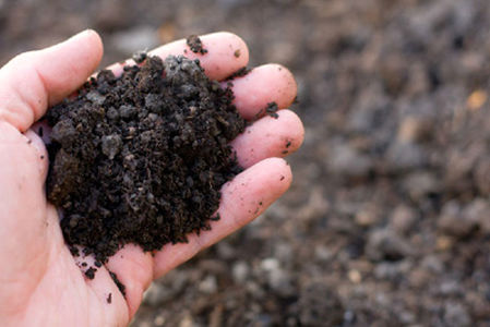 تعیین وظایف وزارت جهاد کشاورزی برای کنترل کیفیت مطالعات خاک شناسی
