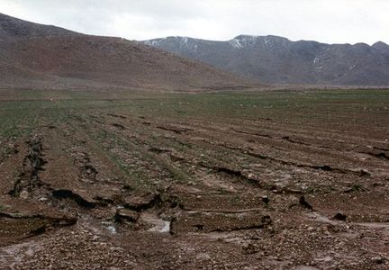 تعیین وظایف مدیران مناطق آزاد تجاری، صنعتی و ویژه اقتصادی برای رفع آلودگی و تخریب خاک