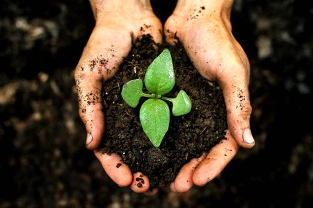 کاهش ۵۰درصدی تولید با ورود سازمان‌های غیرتخصصی به حوزه کود و سم/ لزوم ارجاع دوباره ماده۹ لایحه حفاظت از خاک به کمیسیون کشاورزی