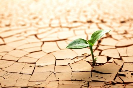 آب به نقطه بحران رسید/ اولویت تحقیقات کشاورزی صرفه‌جویی آب باشد