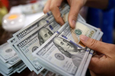 ۲۲ میلیارد ‎دلار؛ حجم ارز خانگی در ایران