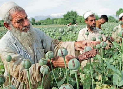 کاهش تولید مواد مخدر در افغانستان به نفع ما نیست