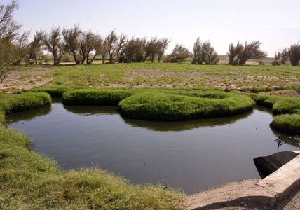 سرازیر شدن فاضلاب تهران به سمت مزارع جنوب