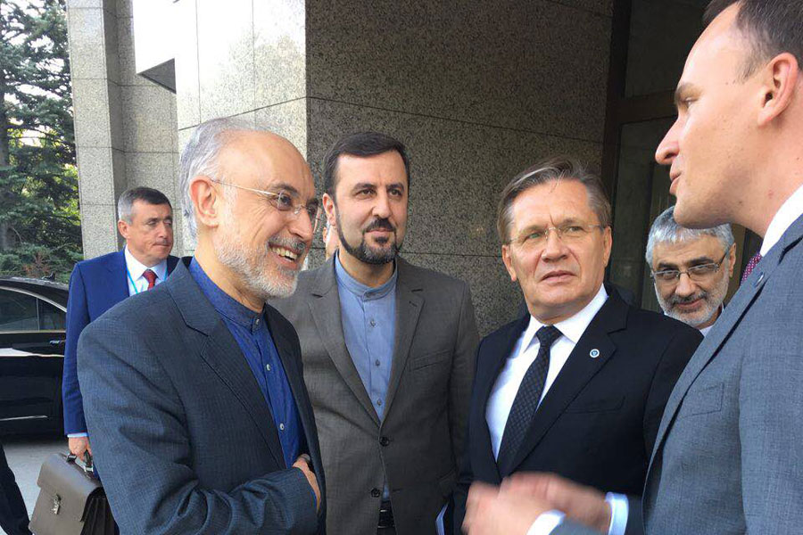 صالحی با رئیس انرژی اتمی روسیه در وین دیدار کرد