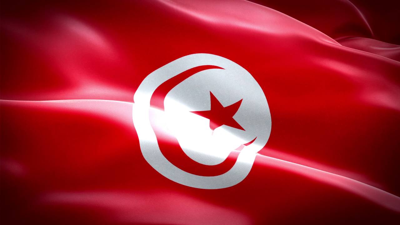 تونس، انتقال از بحران به بحران