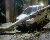 سقوط درخت بر روی خودرو بر اثر طوفان در گرگان +عکس