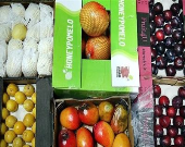 راه گشودن گره‌های کور صادرات محصولات کشاورزی در سال۹۷/ جای خالی معاونت صادرات در وزارت جهاد کشاورزی