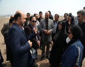 تدوین طرح جامع پسماند با مشاور خارجی/ حضور مافیا در فرایند تفکیک زباله