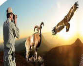 آموزش سه‌گانه بدو خدمت محیط‌بانان