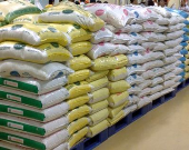 تکذیب واردات ۳میلیون تنی برنج