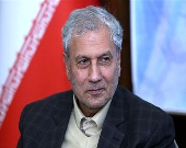 ربیعی: اعمال مشوق‌ برای خرید کالای ایرانی/ علت اصلی تعطیلی برخی بنگاه‌ها
