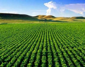 زندگی دوباره در مرز ایلام
