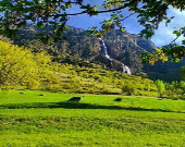 بلندترین آبشار آسیا در الیگودرز +عکس