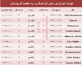 هزینه سفر به گرجستان در فروردین ماه جاری +جدول