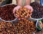 تامین خرمای ماه رمضان زیر قیمت بازار