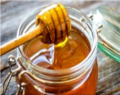 روز جهانی زنبور عسل برای نخستین بار در ایران