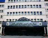 سازمان امور مالیاتی: مدیر دوتابعیتی نداریم