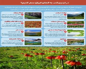 در اردیبهشت به کجای ایران سفر کنیم؟ +اینفوگرافیک