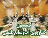 رسیدگی به افزایش قیمت نهاده‌ها در کمیسیون کشاورزی