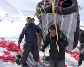 بیمه کولبران منتفی است