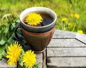 با این گیاهان خونتان را تصفیه کنید