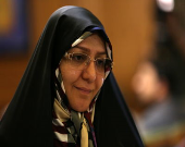 ۸اقدام شهرداری برای مقابله با مگس‌های سفید