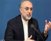 صالحی: اروپا و حامیان برجام با آمریکا مخالفت عملی نکنند، منطقه و جهان ناامن می‌شود