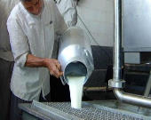 ادامه حیات صنایع لبنی در گرو منطقی شدن نرخ شیرخام است