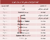 قیمت انواع لوازم جانبی شنا در بازار چند؟ +جدول