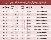 هزینه سفر به کوش‌آداسی در بهار۹۷ +جدول