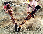 شگرد عجیب قاچاقچیان برای ورود مواد مخدر به کشور
